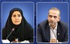همكاری در زمینه طرح جامع، فرودگاه، و مجتمع‌های بندری منطقه آزاد انزلی